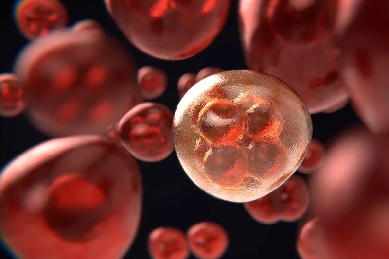 Oncologia Cirúrgica 