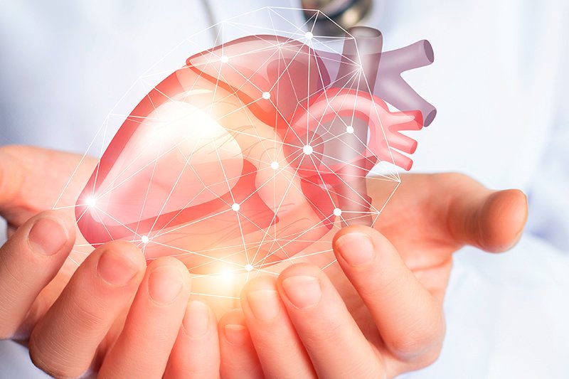 Cardiologia