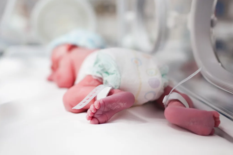 Pediatria Neonatologista 