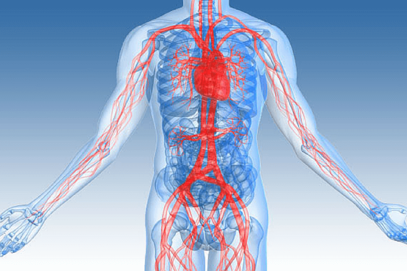 Cirurgia Vascular